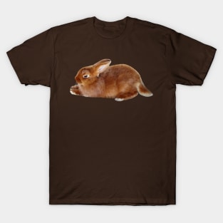 Brown Rabbit T-Shirt